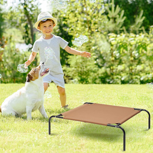 Tucker Murphy Pet™ Elevated Dog And Cat Bed Portable Elevated Pet Bed